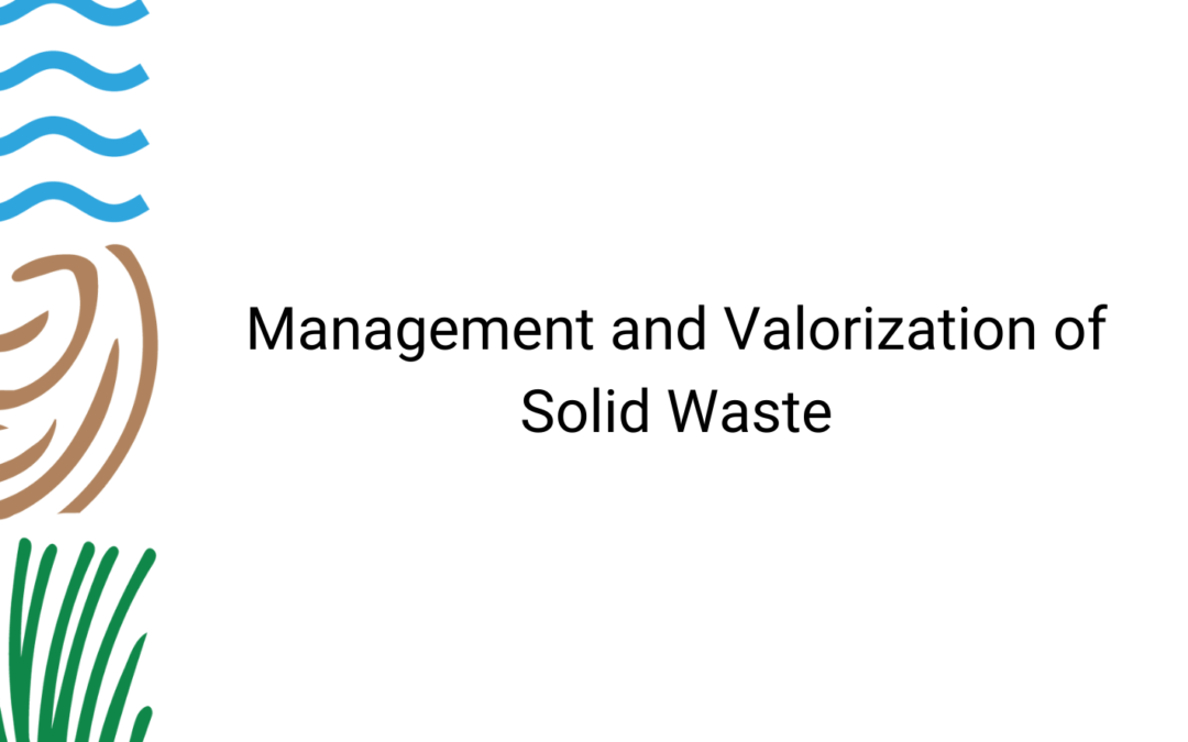 Management and Valorization of Solid Waste