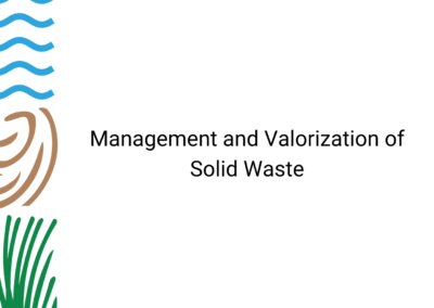 Management and Valorization of Solid Waste